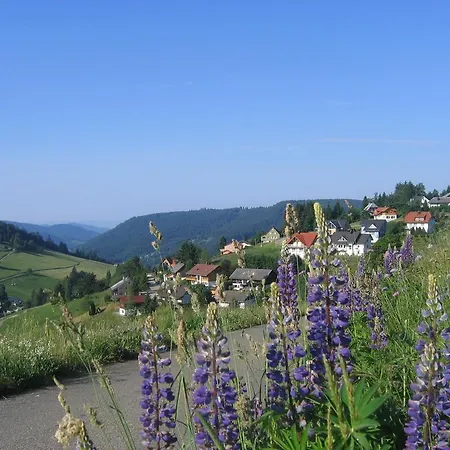 Haus Keller Apartamento Todtnauberg