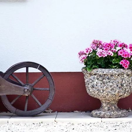 Haus Keller Apartamento Todtnauberg